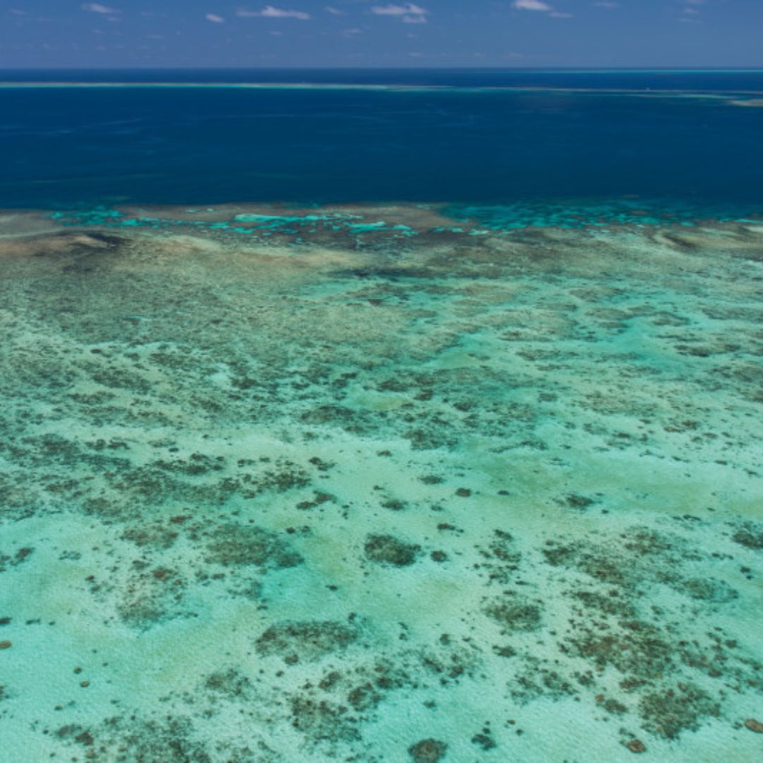 GreatBarrierReef