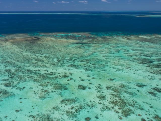 GreatBarrierReef